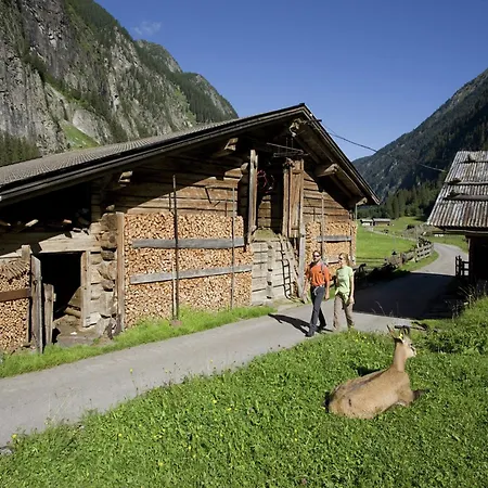 Spacious Near Area In Ferienhaus Kaltenbach