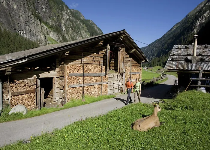 Spacious Near Area In Hébergement de vacances Kaltenbach